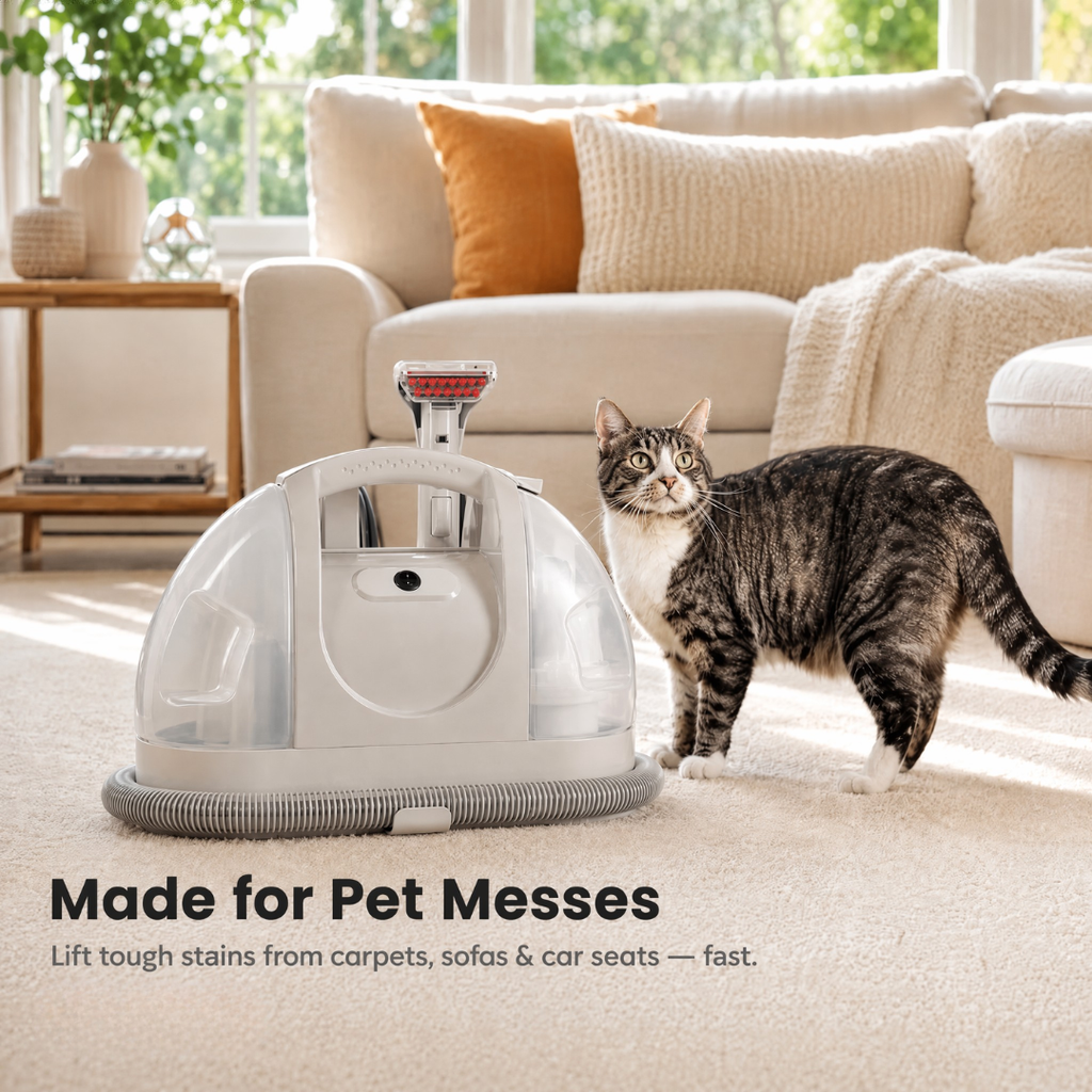 Portable Carpet & Upholstery Spot Cleaner