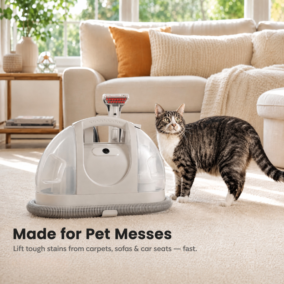 Portable Carpet & Upholstery Spot Cleaner
